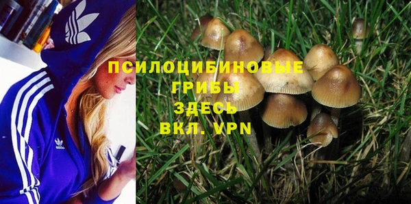 мдпв Абинск