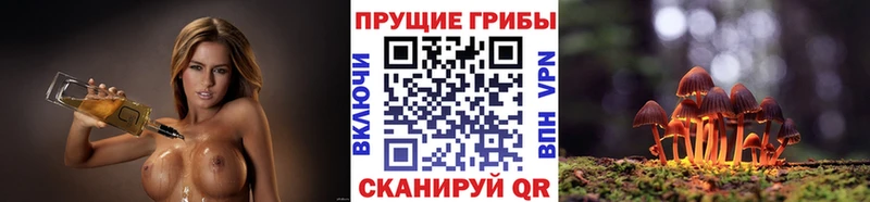 цена   Торжок  darknet какой сайт  Галлюциногенные грибы мицелий 